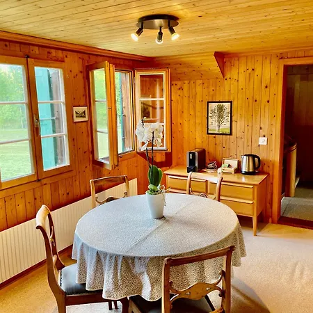 Double Alpine In Gstaad Homestay