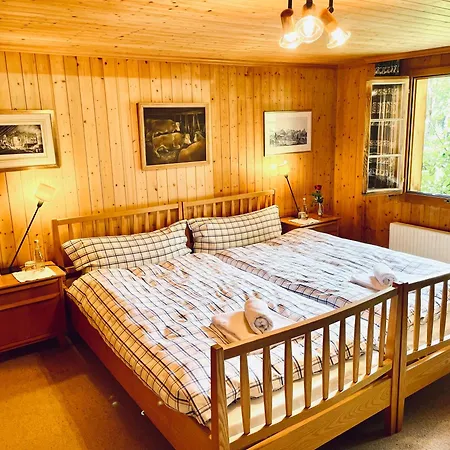 Double Alpine In Gstaad Homestay *